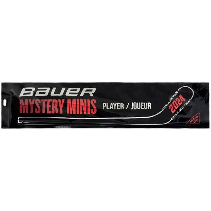 Mystery Mini Hockey Stick, Assorted Designs, 18-in G5632