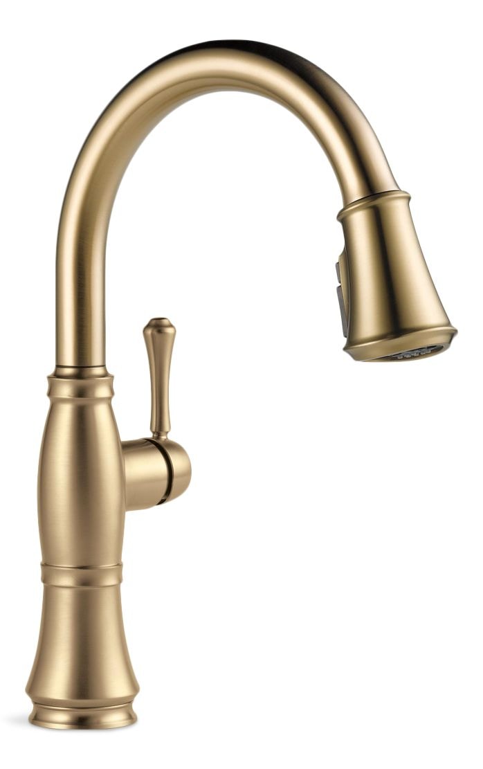 Cassidy 1-Handle ShieldSpray Pull-Down Kitchen Faucet, Champagne Bronze S483